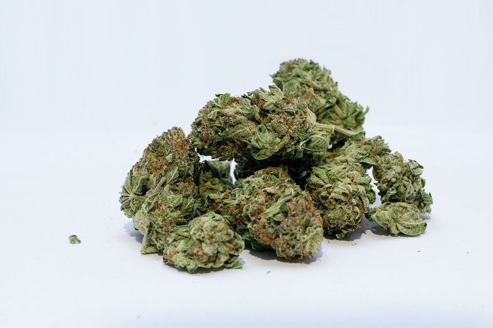 Marijuana Legale e Ecosostenibile: è possibile?